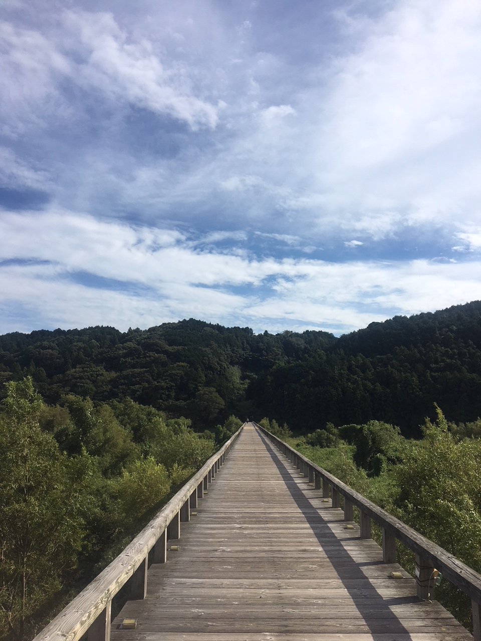 🌉 호라이 다리(호라이바시) 이미지 4